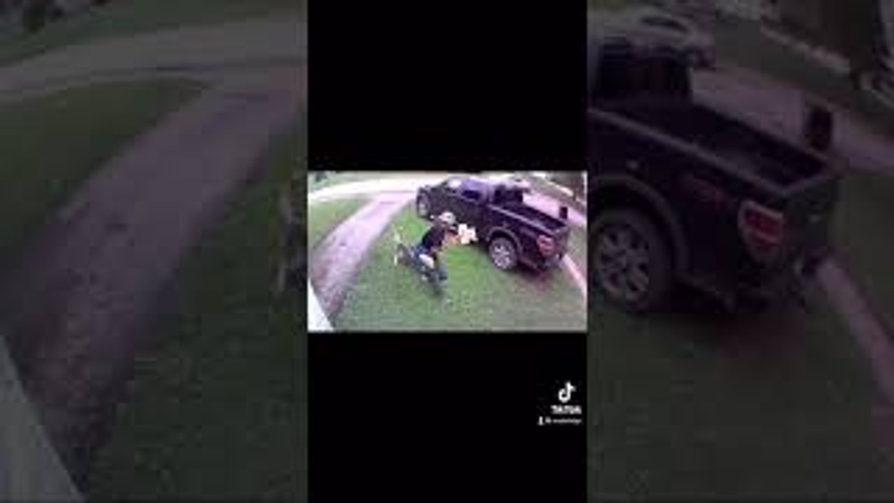 Neighbor's Dog Bites Mailman