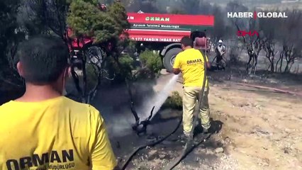 Çanakkale Ezine'deki orman yangını kontrol altına alındı