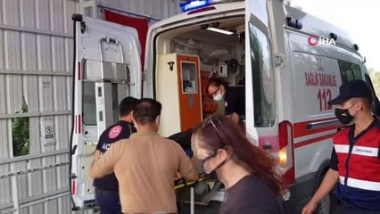 Edremit'te orman yangını...Dumandan kaçan ayı yangını söndürmeye çalışan orman gönüllüsüne saldırdı