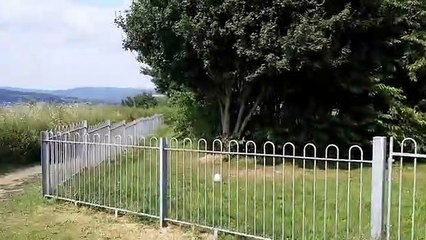 Bolehills, Crookes. Lucy Ashton.
