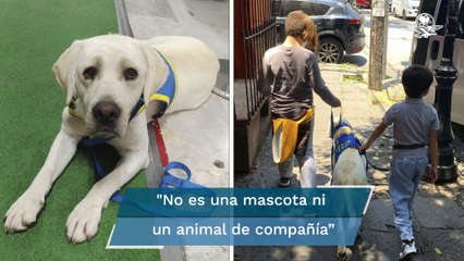 Rafa Sarmiento acusa discriminación en restaurante; niegan acceso al perro de su hijo con autismo