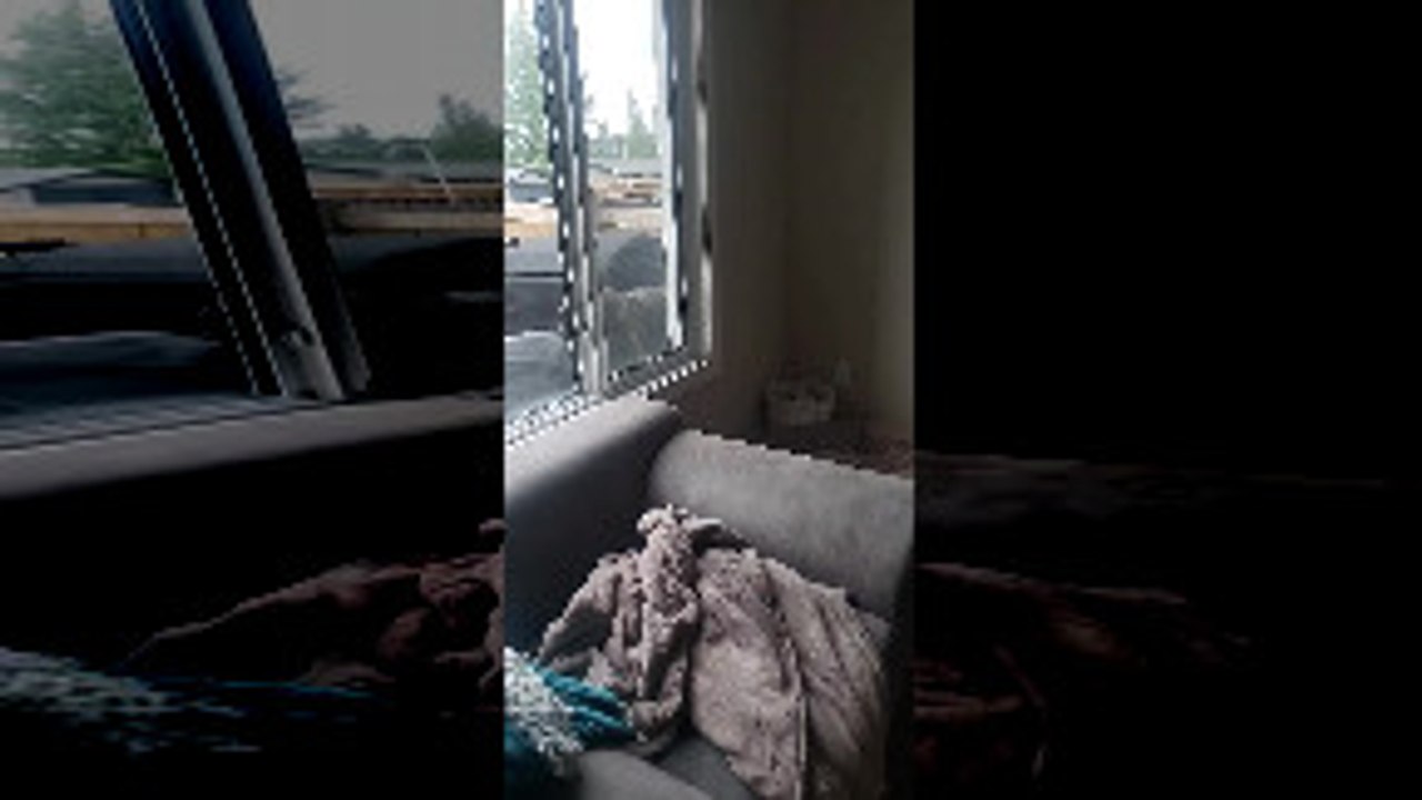 Frenchie's Acrobatic Fail