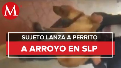 Exigen justicia por perro lanzado a arroyo en San Luis Potosí