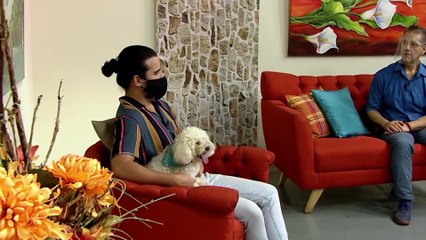 COMPORTAMIENTO DE LOS PERROS