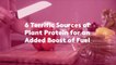6 Terrific Sources of Plant Protein for an Added Boost of Fuel