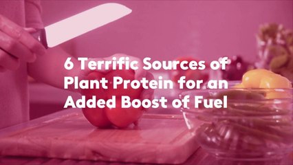 6 Terrific Sources of Plant Protein for an Added Boost of Fuel
