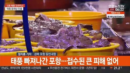 남부지방 태풍 피해 속출…오후까지 많은 비 예보