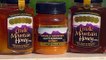 Tasmania’s famous leatherwood honey prompts counterfeit imitations