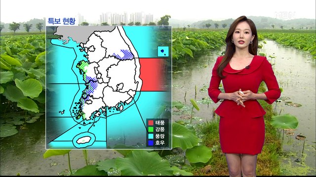 [굿모닝MBN 날씨]태풍 '오마이스' 동해로 빠져나가…오늘도 전국, 강하고 많은 비