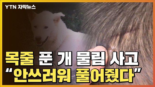 [자막뉴스] 목줄 푼 개에 물린 6살 아이...가해 견주 안쓰러워 풀어줬었다 / YTN