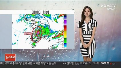 [날씨] '오마이스' 소멸, 태풍특보 해제…충남·호남 폭우
