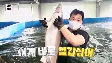 [선공개] 상어 몸값만 $3000억$ 국산 캐비아로 갑부가 된 사나이