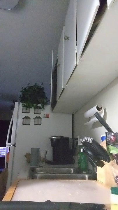 Fruit Ninja