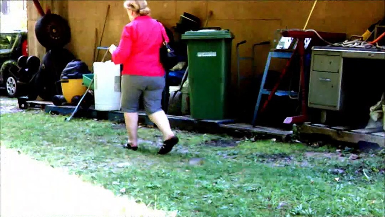 stealthcamera results  08/24/2021