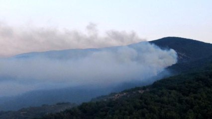 Son dakika: Kazdağları'ndaki yangın söndürme çalışmaları devam ediyor