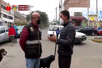 Obreros frustran robo de costosa herramienta de trabajo en Independencia