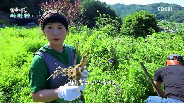한국기행 - Korea travel_여름 산골 밥상 2부- 금손 남자, 약손 여자_#002