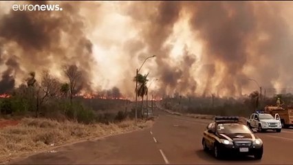 Los incendios forestales asolaron hectáreas de reserva natural en Paraguay