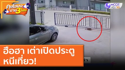 ฮือฮา เต่าเปิดประตู หนีเที่ยว! (23 ส.ค. 64) คุยโขมงบ่าย 3 โมง