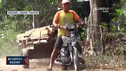 Tak Kunjung Diperbaiki, Warga Kabupaten Kediri Tanami Jalan Rusak Dengan Pohon Pisang