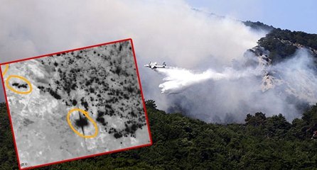 Kazdağları’na yangın söndürmeye gitti: Ayı saldırısına uğradı