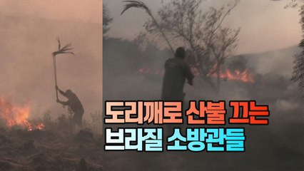[세상만사] 도리깨로 산불 끄는 브라질 소방관들 / YTN