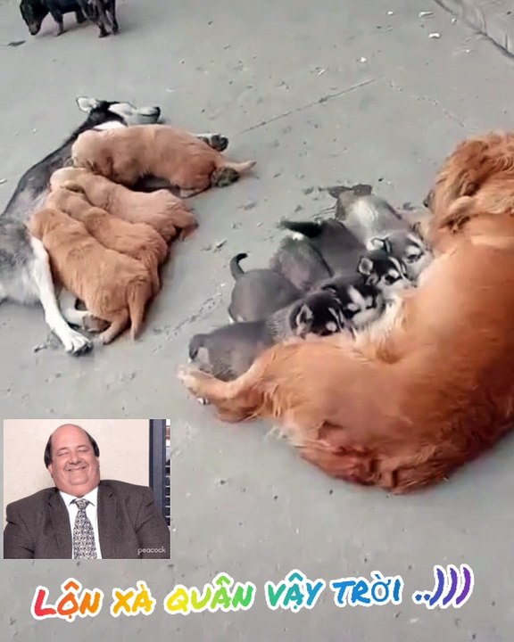 ★ Bú nhầm rồi.))))#giaitriz