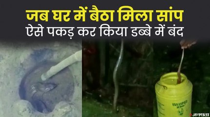 घर में मिला जहरिला सांप, गांव वालों ने ऐसे डब्बे में बंद कर बचाई जान | Bihar Snake News