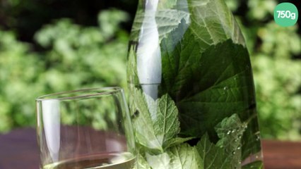 Vin aux feuilles de cassis
