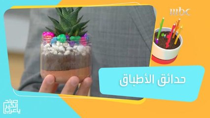 حدائق الأطباق.. اعرف كيف تسويها في المنزل بطريقة سهلة وبسيطة!