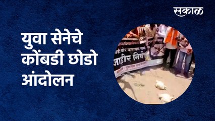 Narayan Rane : युवा सेनेचे कोंबडी छोडो आंदोलन |Aurangabad| Yuva sena| Sakal Media