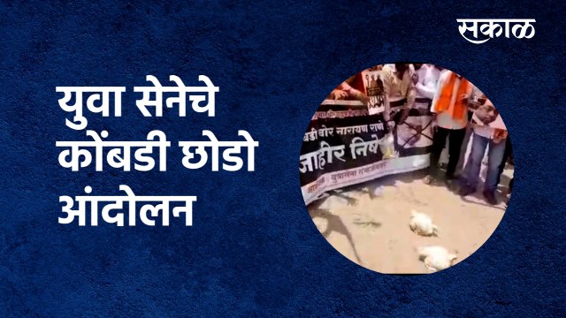 Narayan Rane : युवा सेनेचे कोंबडी छोडो आंदोलन |Aurangabad| Yuva sena| Sakal Media