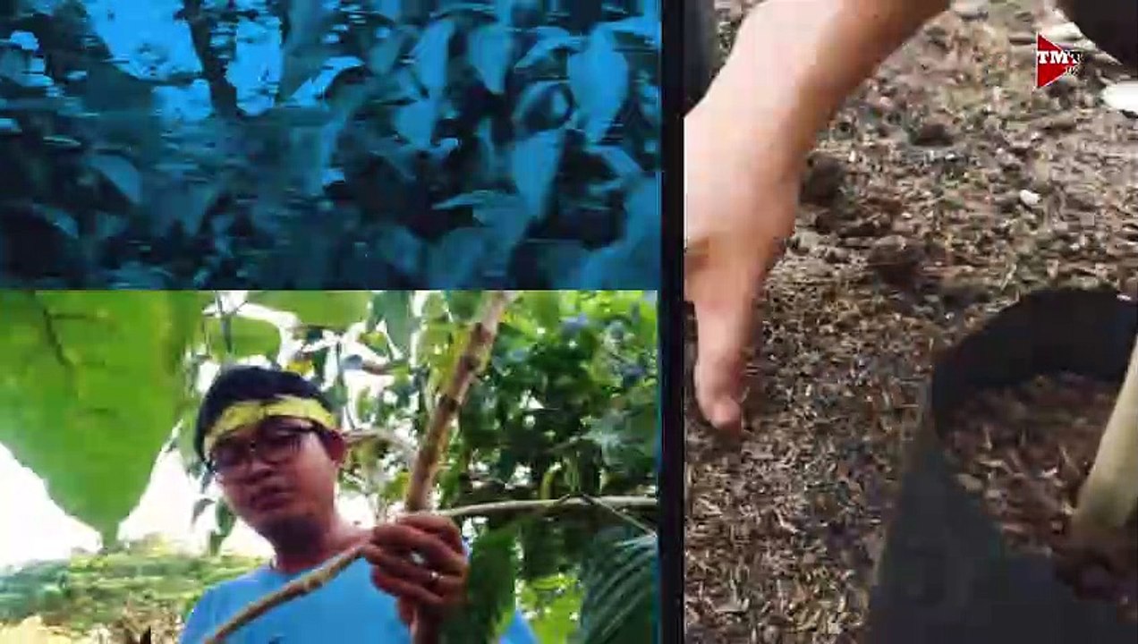 Pabahay sa Kambing