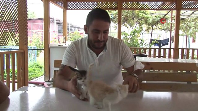 İtfaiye ekiplerinin kurtardığı yavru kedileri duyarlı vatandaş sahiplendi