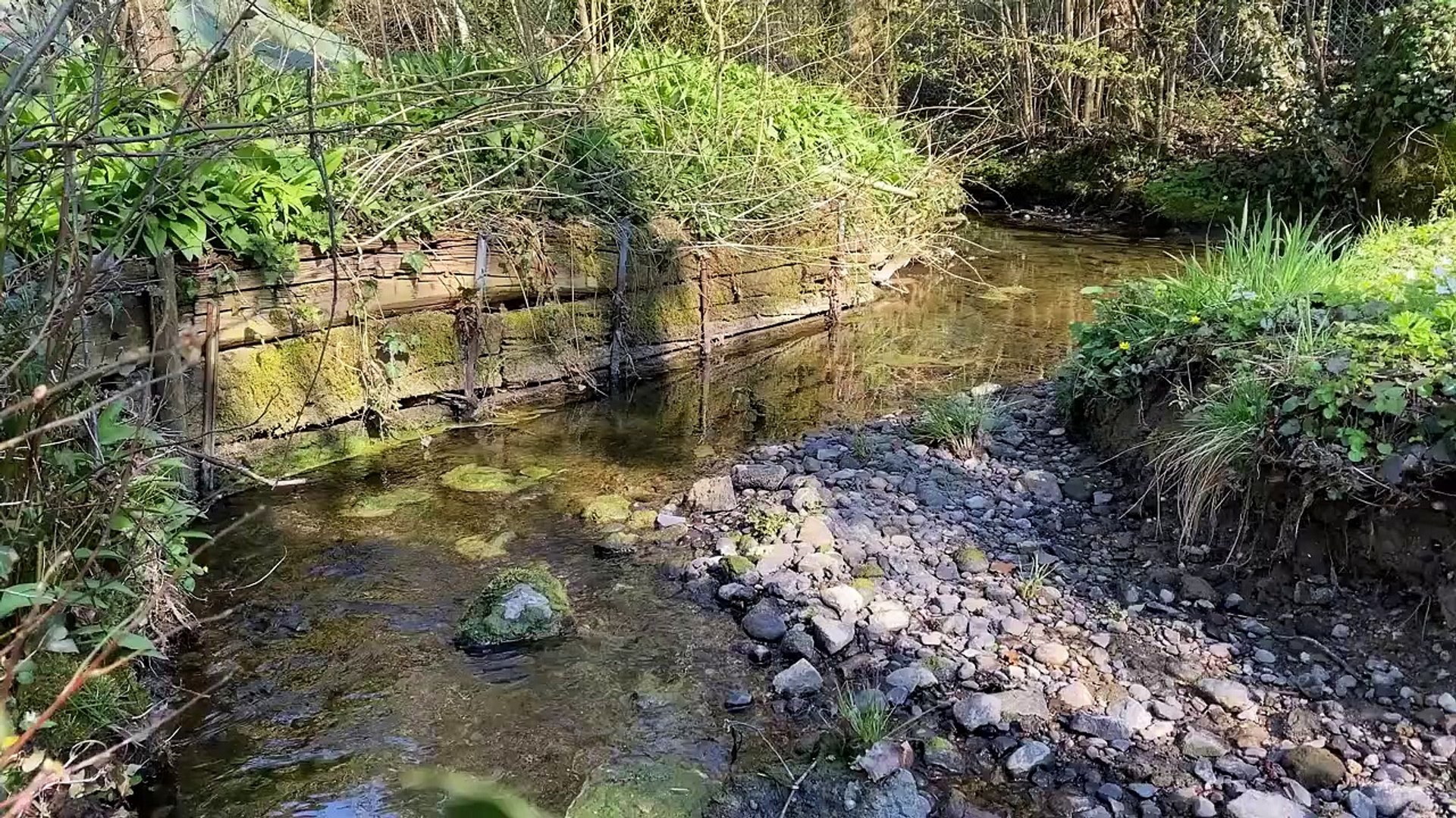 Calm Music From Acoustica Records_ Yoga music _ Relax Music _ Sleeping Music