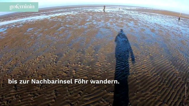Das sind die schönsten deutschen Nordseeinseln