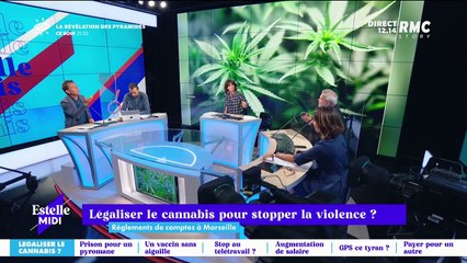 Légaliser le cannabis pour stopper la violence ? - 24/08