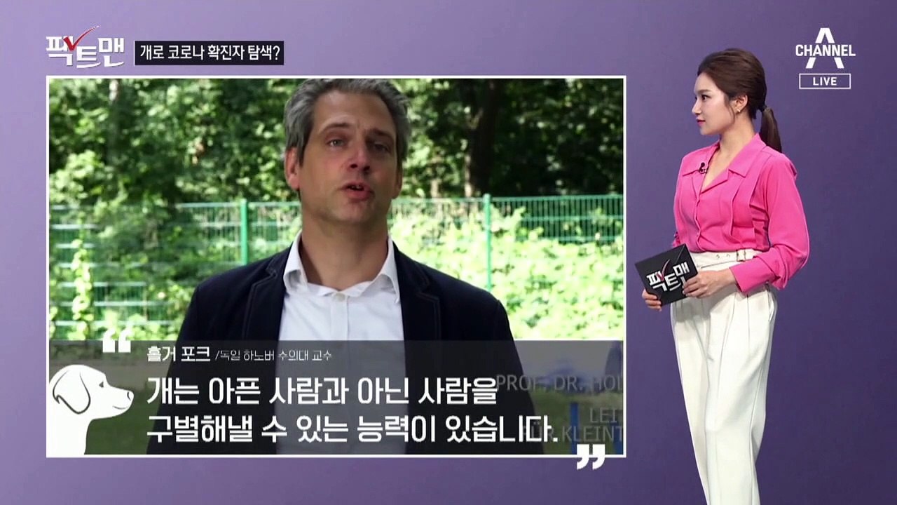 [팩트맨]‘킁킁’ 개는 냄새로 ‘코로나 확진’ 찾아낸다?