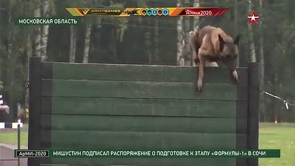 của đội Việt Nam bỏ chướng ngại vật vì sợ nước lạnh