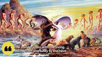 MINDFULNESS VIDEO SERIES (6): REAL ANSWER TO “AM I THE MIND?”