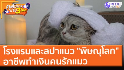โรงแรมและสปาแมว ที่ "พิษณุโลก" อาชีพทำเงินคนรักแมว (24 ส.ค. 64) คุยโขมงบ่าย 3 โมง