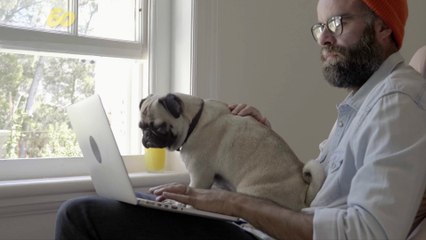 Pets Bring Nothing but Joy For So Many People