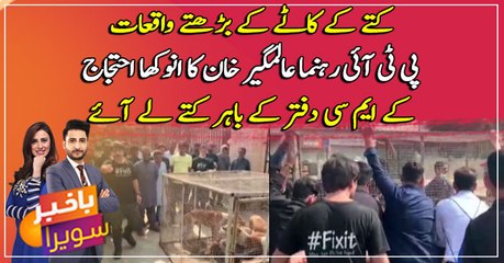 PTI leader Alamgir Khan's unique protest against Sindh Govt in front of KMC office