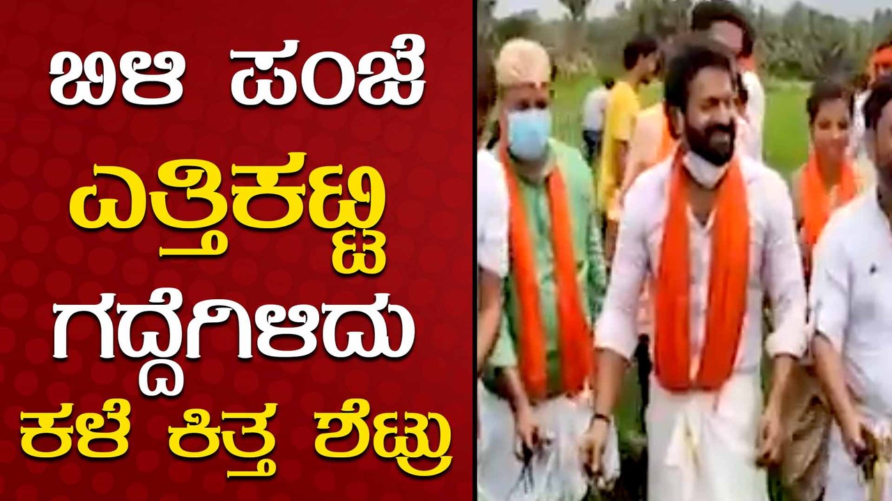 ಭತ್ತದ ಗದ್ದೆಯಲ್ಲಿ ಕಳೆಕಿತ್ತ ರಿಷಬ್ ಶೆಟ್ರು