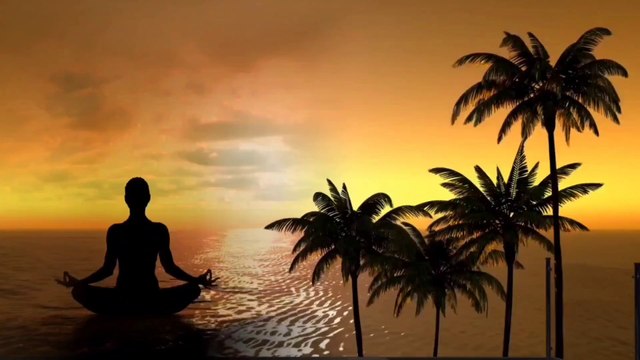 Relaxing Music to Calm The Mind : Yoga Music, Meditation, Zen, Study, Sleep & Stress Relief Music by Amcas Relax Music