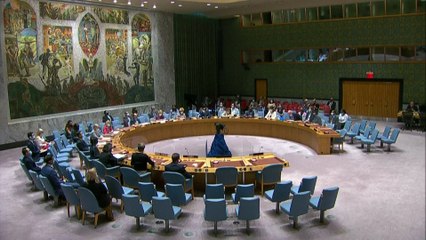 Afghanistan : la résolution de l'ONU pour des départs "sûrs" adoptée