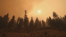 El incendio Caldor se acerca al lago Tahoe tras arrasar 71.700 hectáreas
