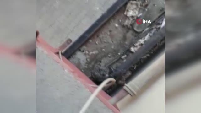 Son dakika haberleri... İtfaiye ekipleri çatıdan düşen yavru güvercini yuvasına koydu