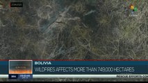 Bolivia: Major forest losses due to forest fires