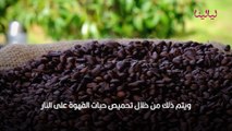 فوائد قشر القهوة للتنحيف